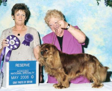 Marque winning Reserve Dog at our National